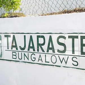 tajaraste.in-canary-islands.com/